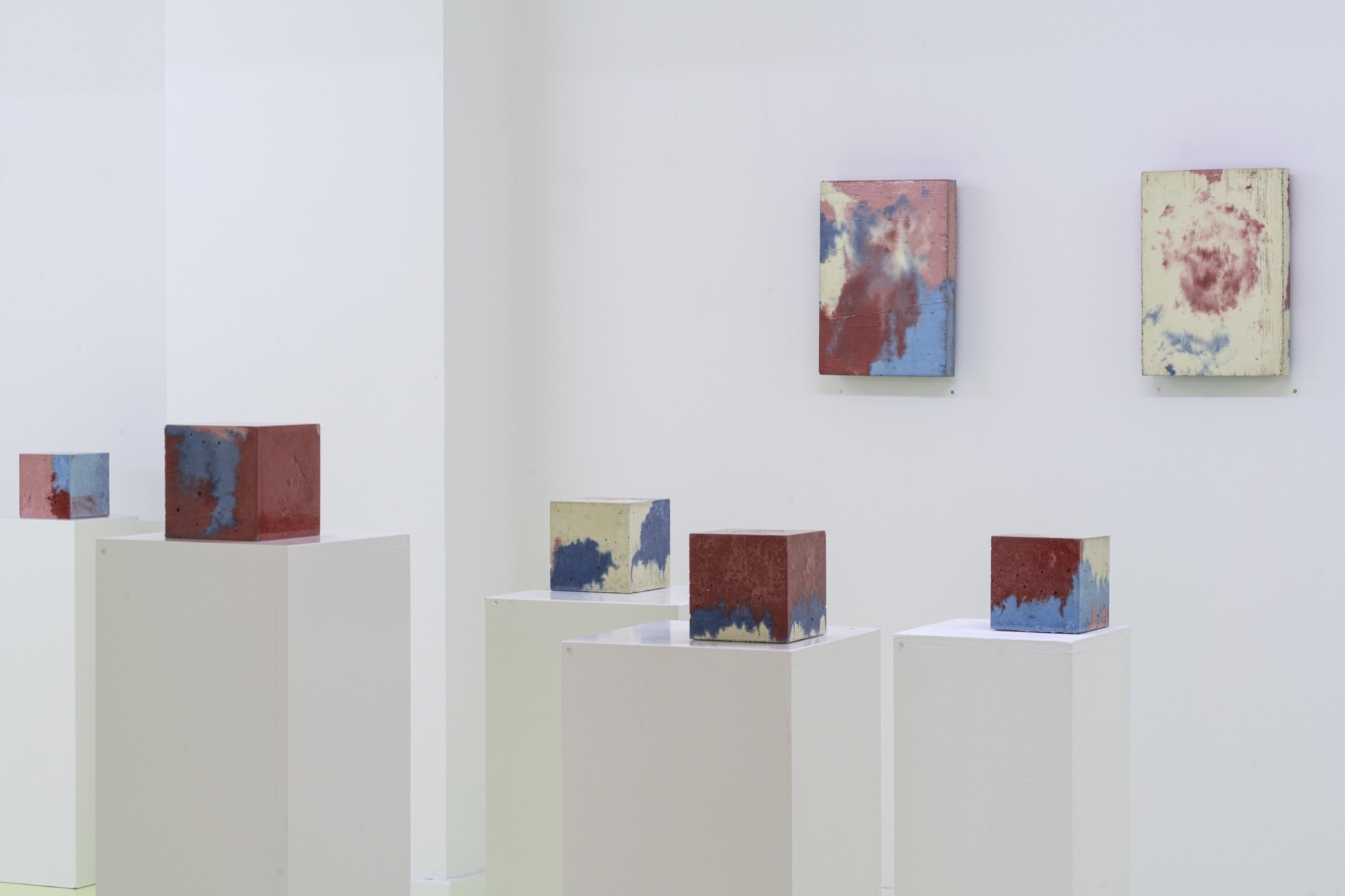 Galerie Witschi, 2019